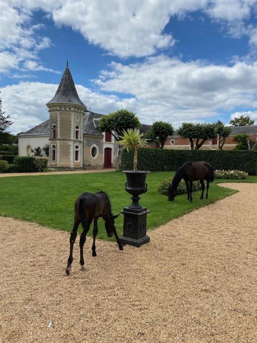 Chateau Du Maurier Holiday home La Fontaine-Saint-Martin