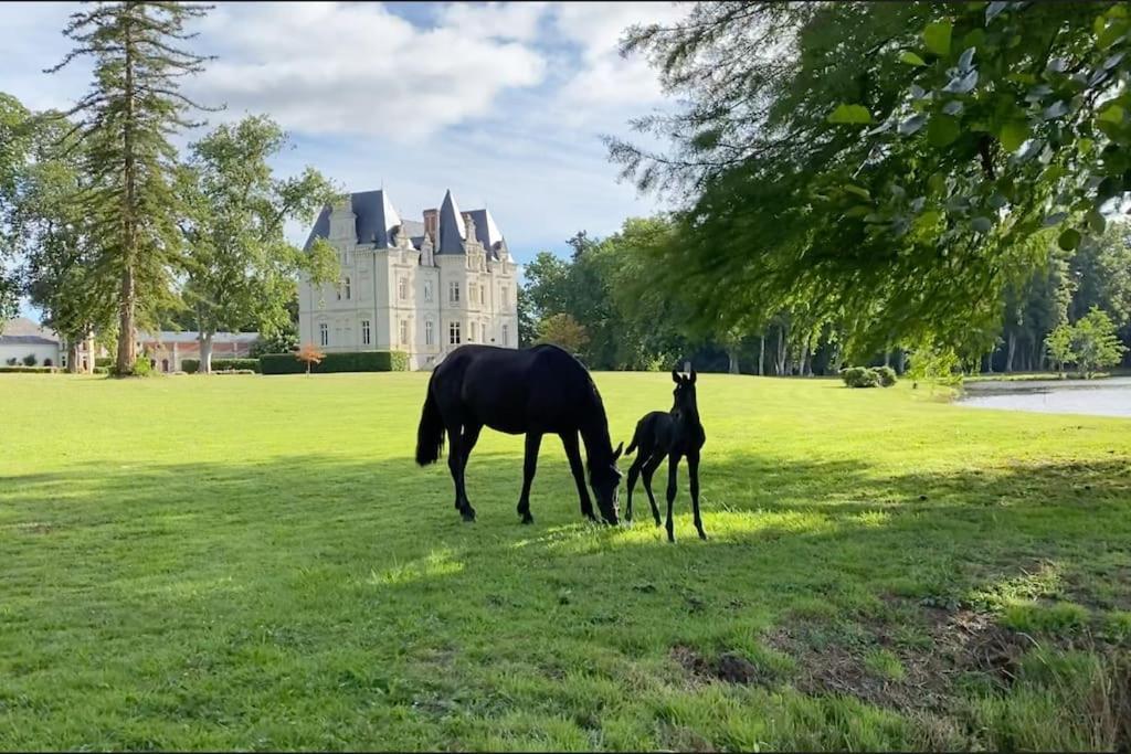 Chateau Du Maurier Holiday home La Fontaine-Saint-Martin