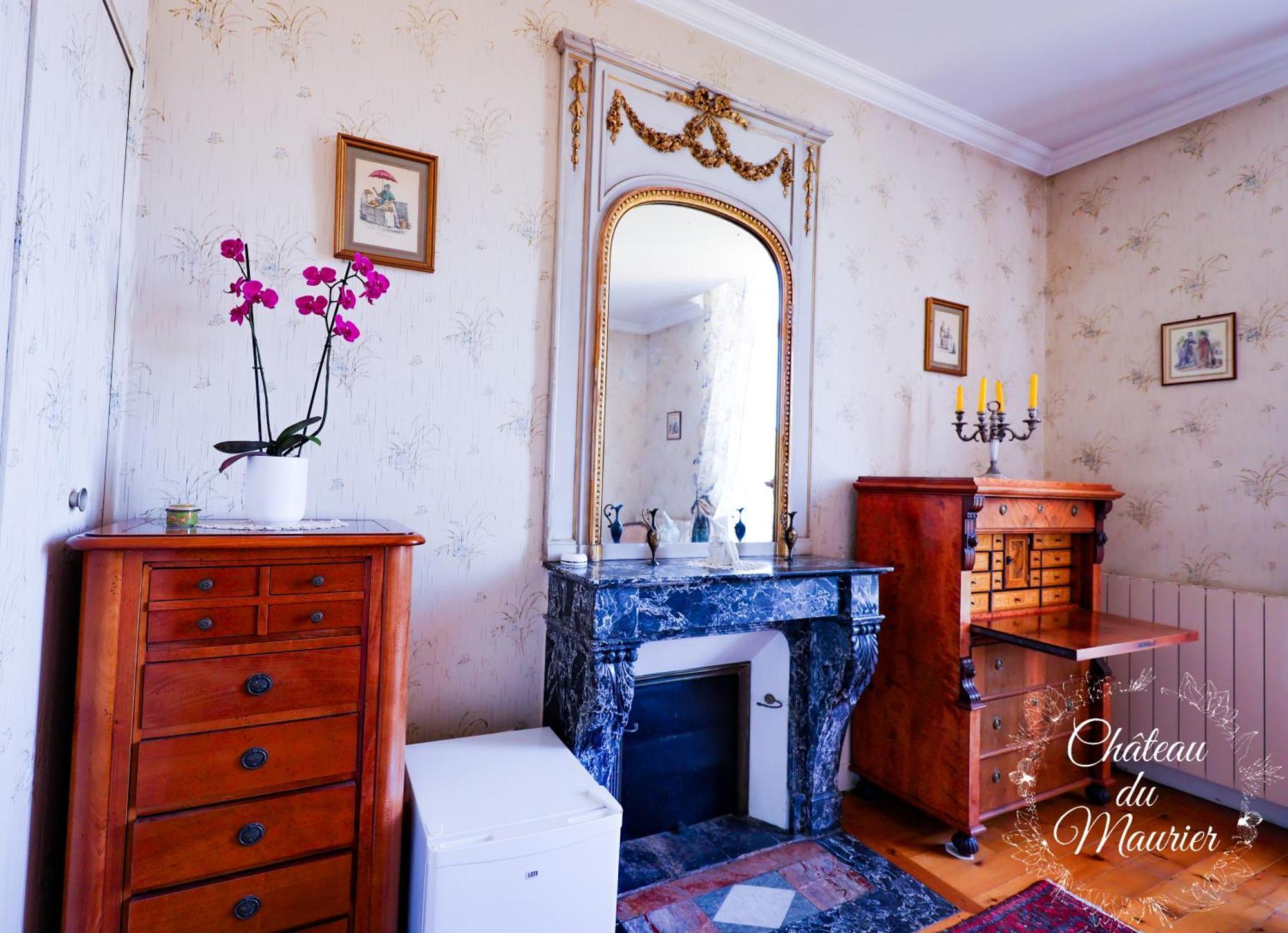 Holiday home Chateau Du Maurier *