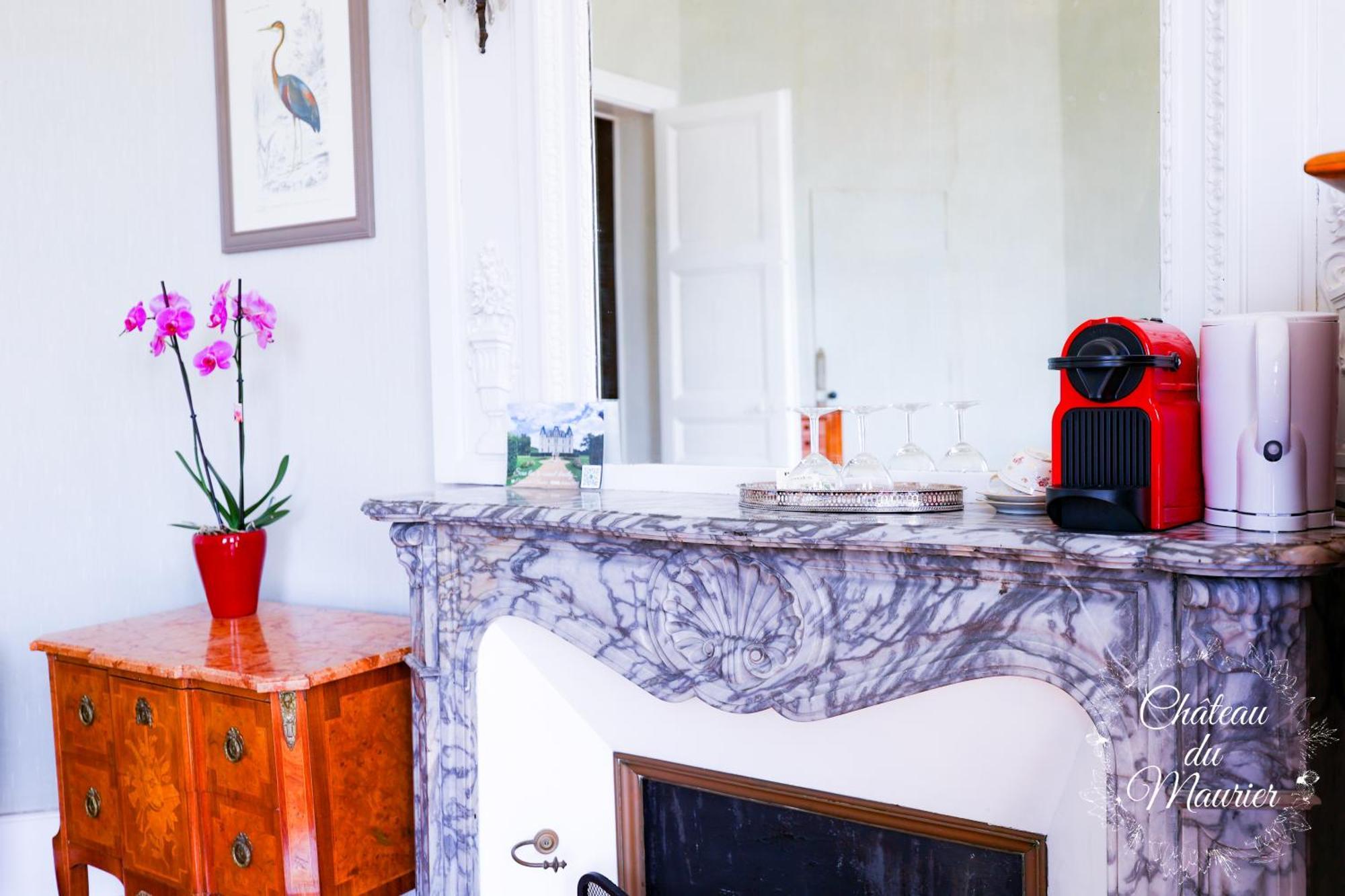 Holiday home Chateau Du Maurier La Fontaine-Saint-Martin